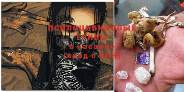 ECSTASY Алзамай