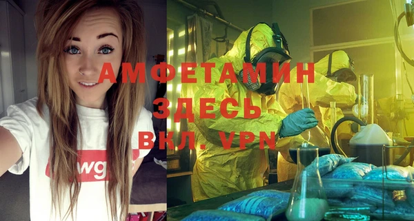 стаф Данков