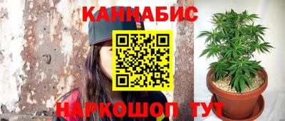 дмт Краснознаменск