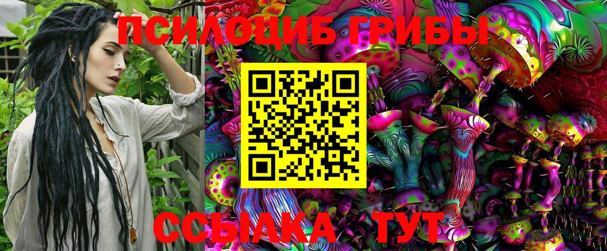 Карачаевск  Псилоцибиновые грибы MAGIC MUSHROOMS  наркотики  Галлюциногенные грибы ЛСД  Вход с VPN 