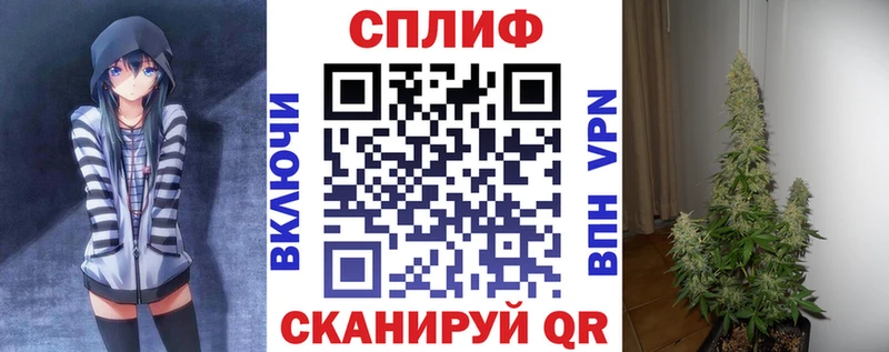 блэк спрут ссылки  Карачаевск  Конопля Amnesia 