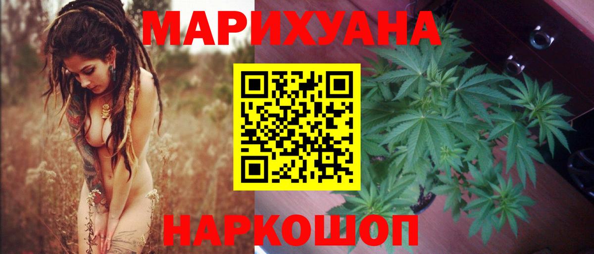 Конопля планчик  Вход с VPN  Марихуана конопля  МАРИХУАНА Bruce Banner  Карачаевск 